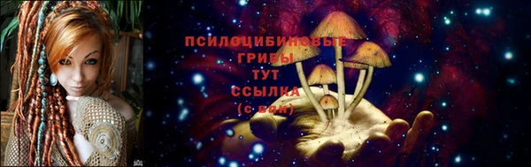 соль ск Надым