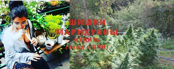 винт Дмитров