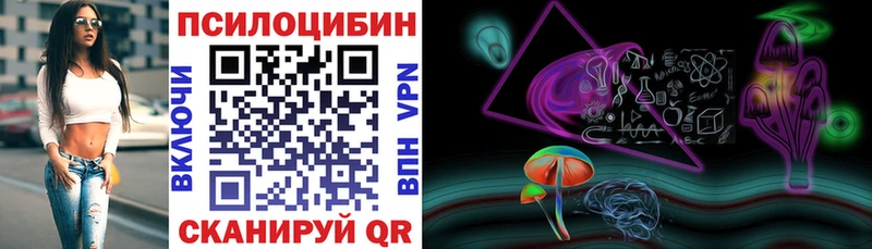 Купить закладки  Канск  Галлюциногенные грибы Psilocybe 