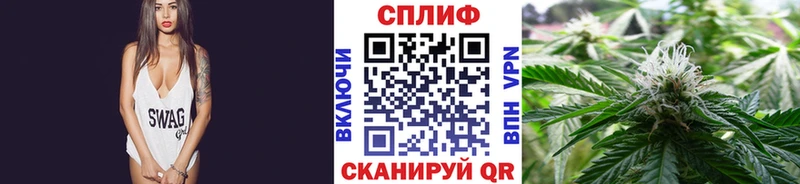 Конопля конопля  Купить закладки  Канск 